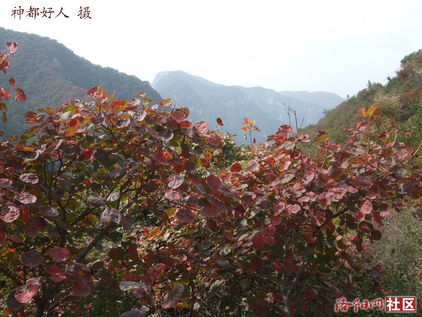 DSCF4097.JPG