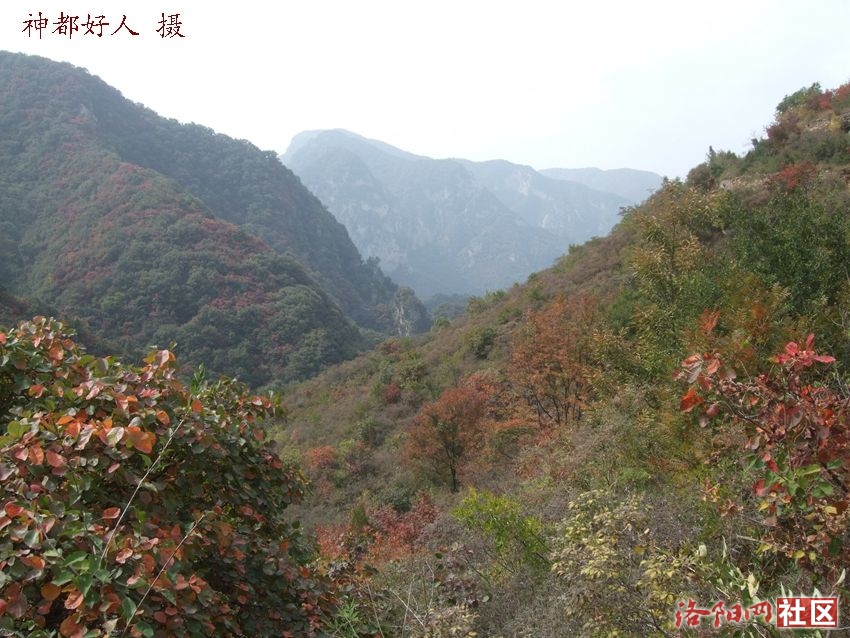 DSCF4105.JPG