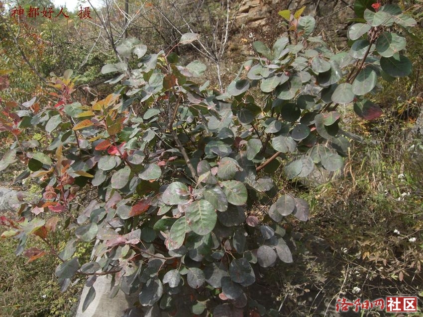 DSCF4107.JPG
