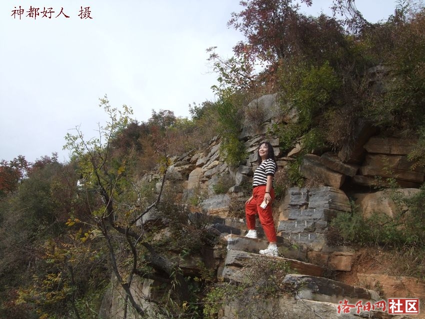 DSCF4117.JPG