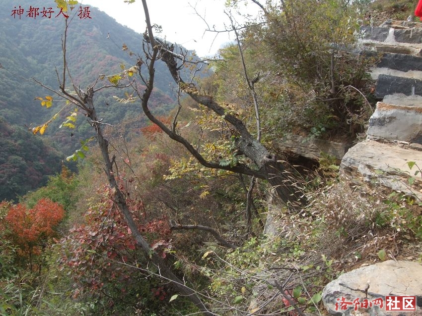 DSCF4121.JPG