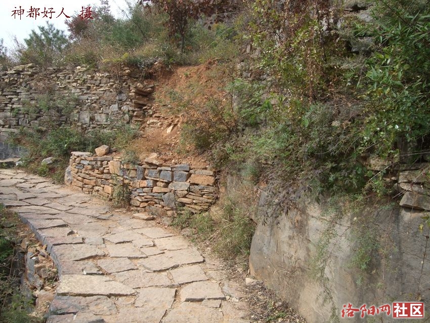 DSCF4122.JPG