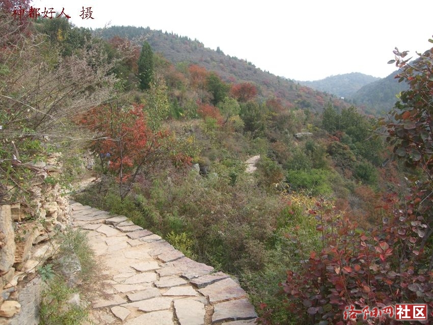 DSCF4126.JPG