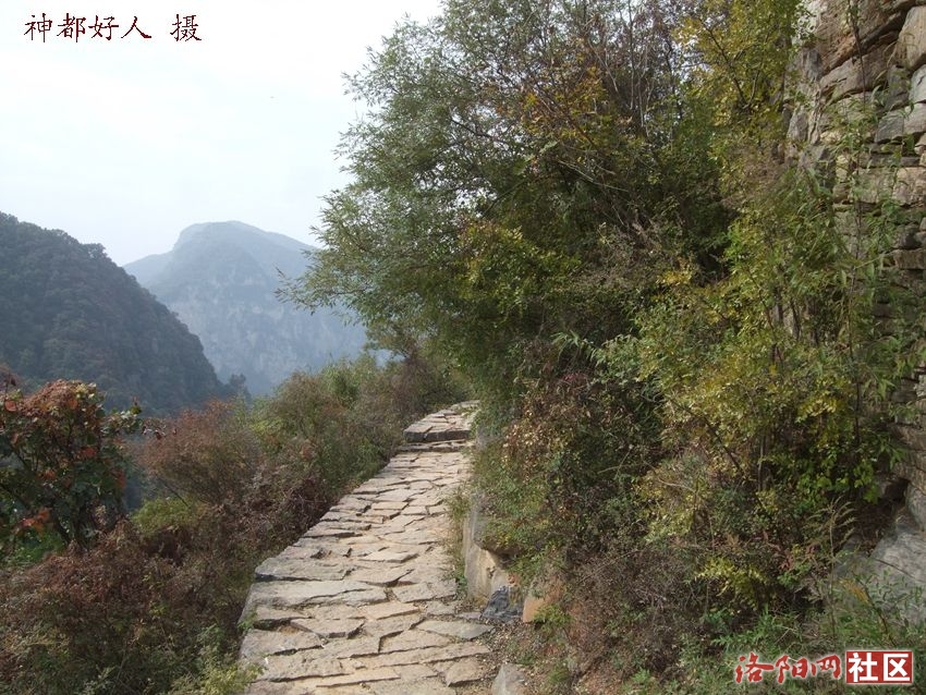 DSCF4131.JPG