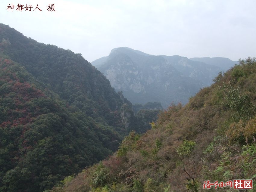 DSCF4132.JPG