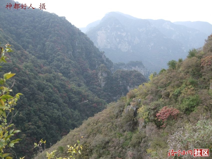 DSCF4133.JPG