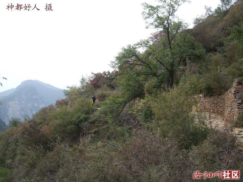 DSCF4134.JPG