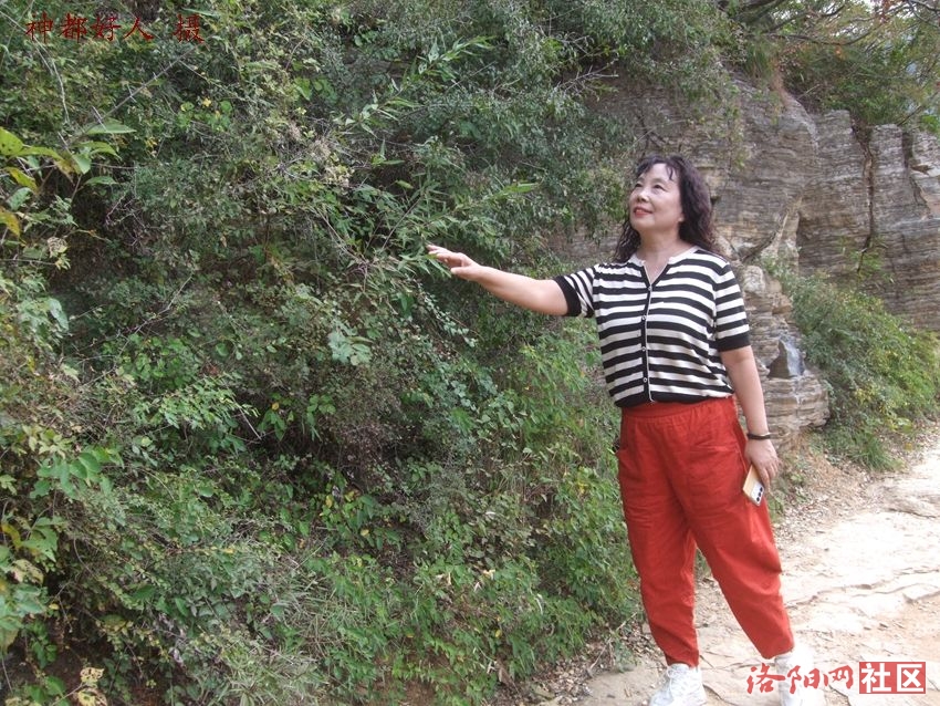 DSCF4135.JPG