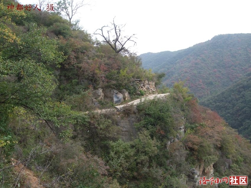 DSCF4139.JPG