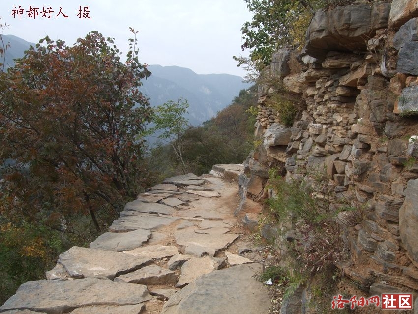 DSCF4140.JPG