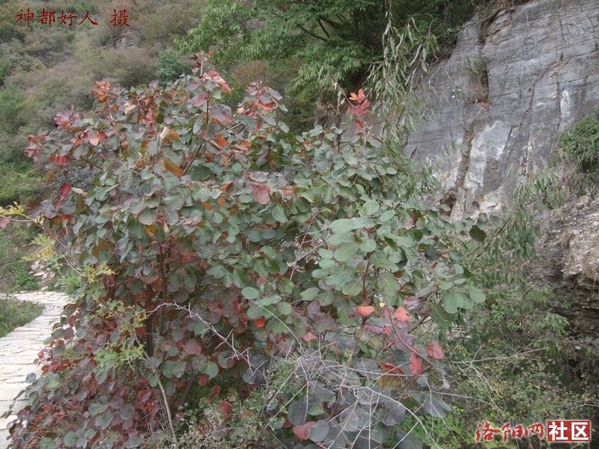DSCF4143.JPG