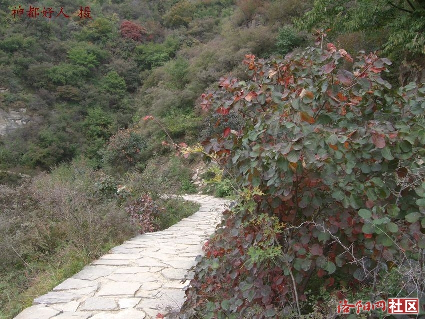 DSCF4144.JPG