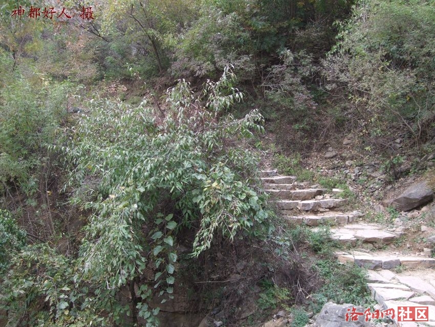 DSCF4148.JPG