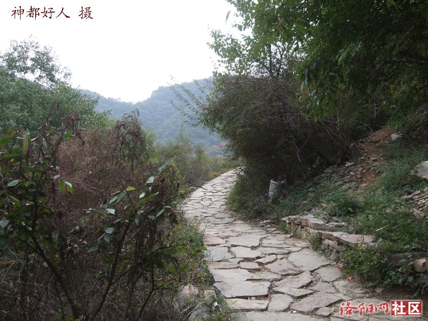 DSCF4151.JPG