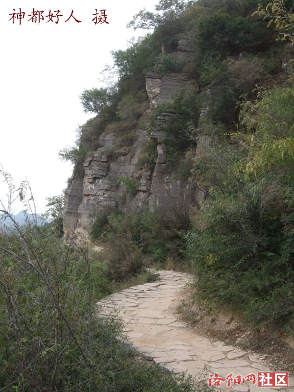 DSCF4155.JPG