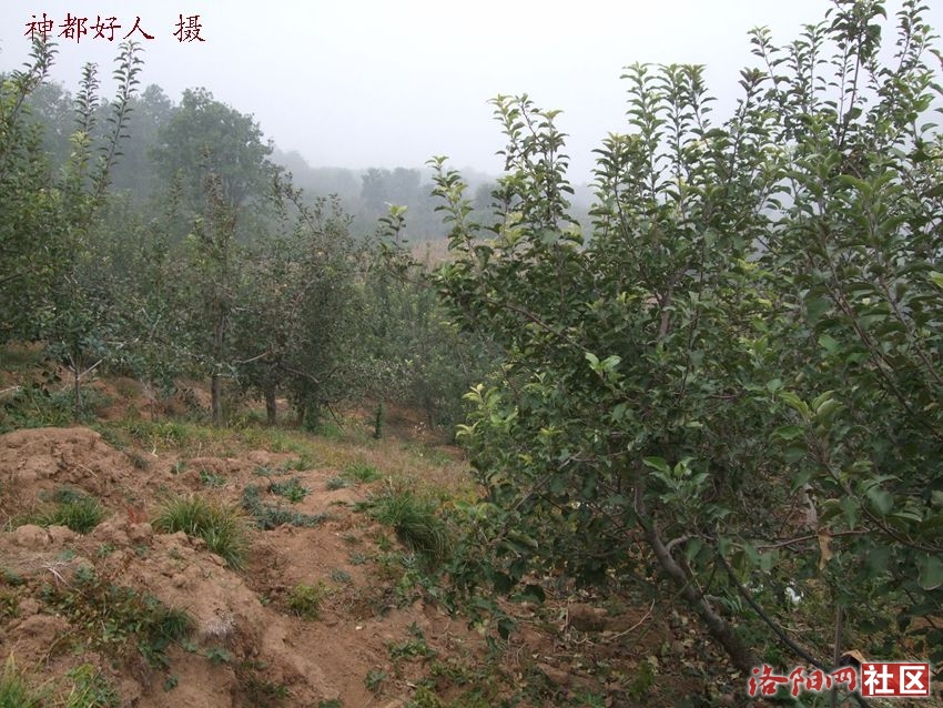 DSCF4007.JPG