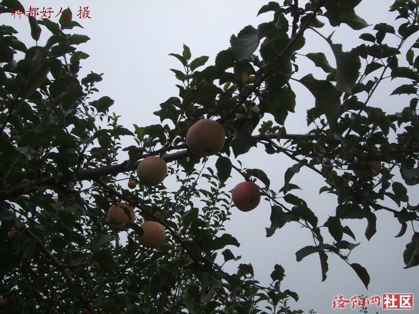 DSCF4008.JPG