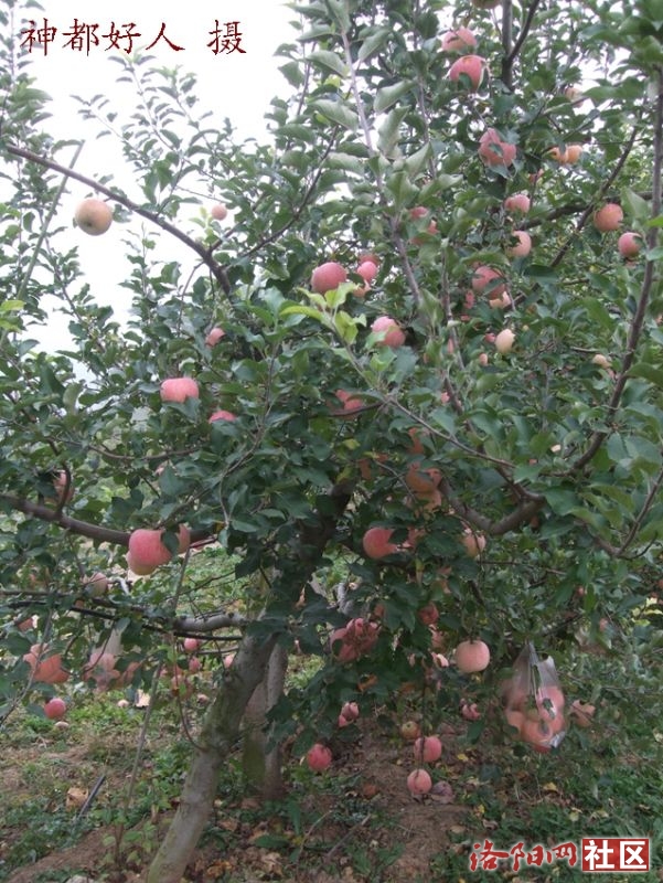 DSCF4013.JPG