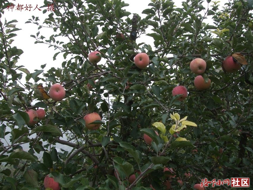 DSCF4014.JPG