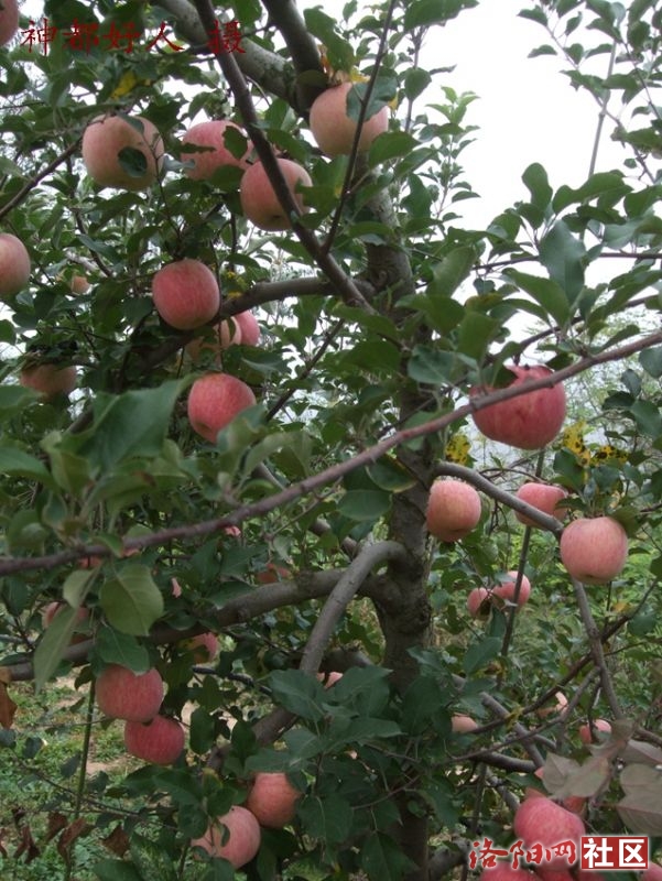 DSCF4015.JPG
