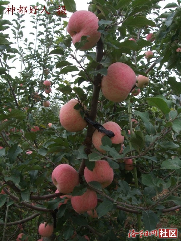 DSCF4021.JPG