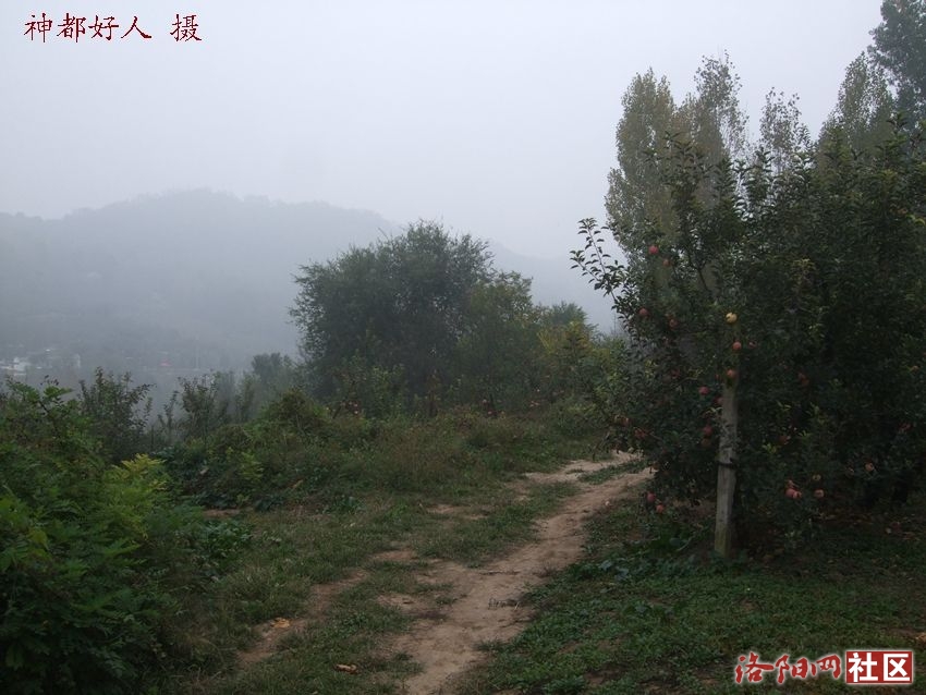 DSCF4022.JPG