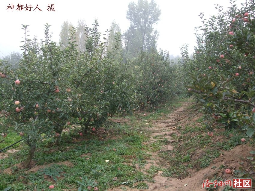 DSCF4024.JPG