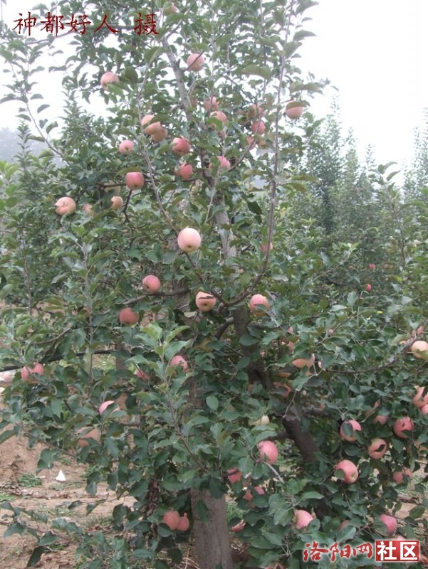 DSCF4025.JPG