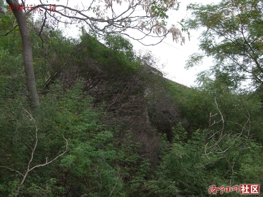 DSCF4040.JPG