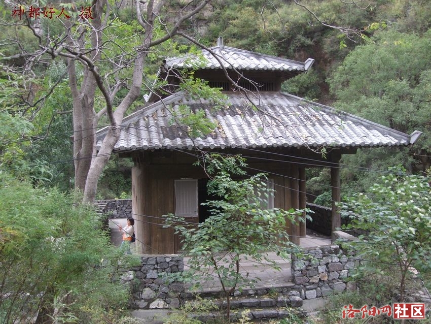 DSCF4046.JPG