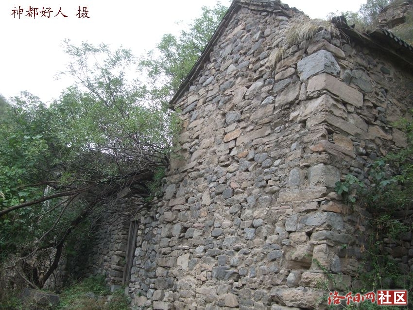 DSCF4047.JPG