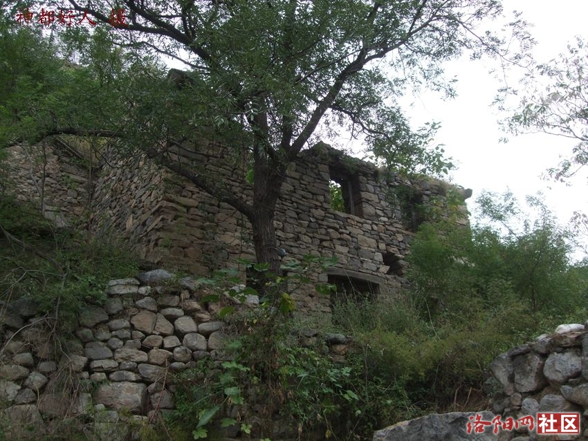DSCF4048.JPG