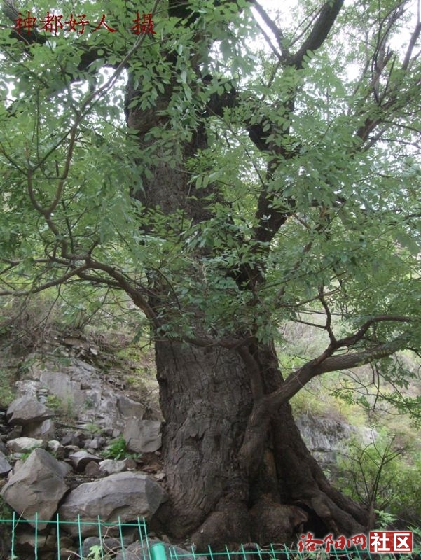 DSCF4067.JPG