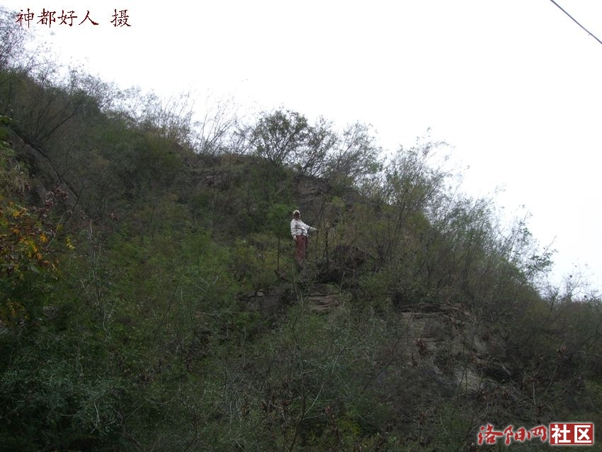 DSCF4070.JPG