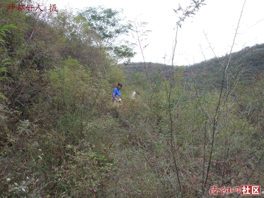 DSCF4106.JPG