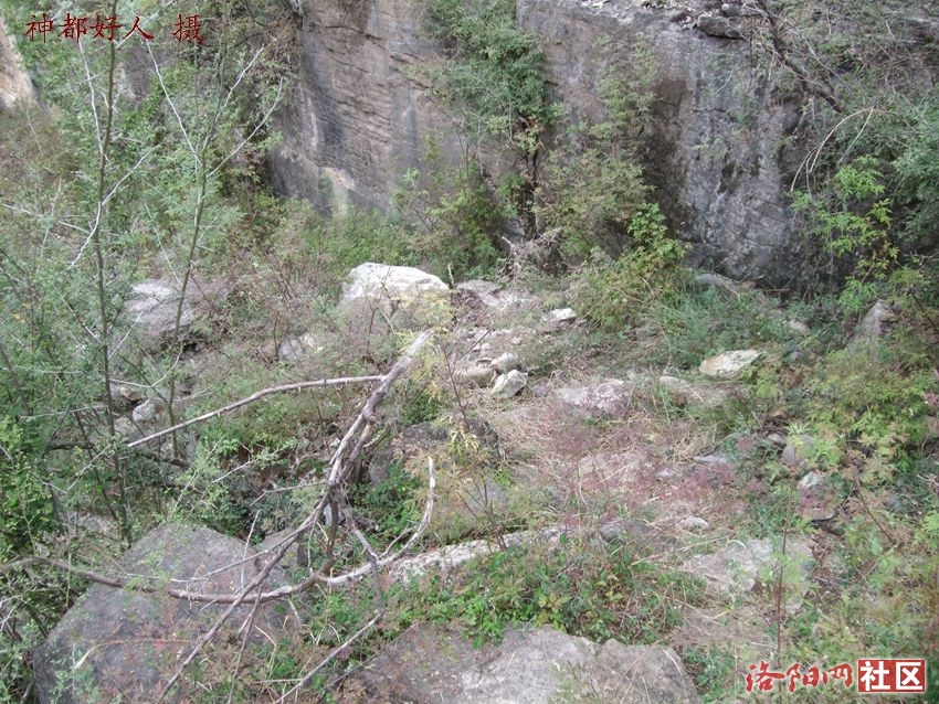 DSCF4108.JPG