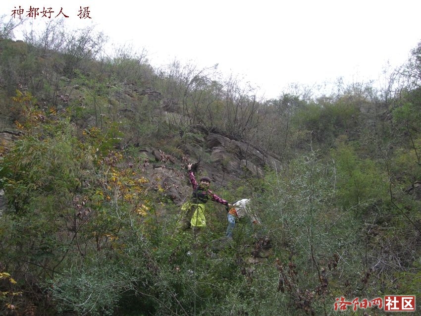 DSCF4110.JPG