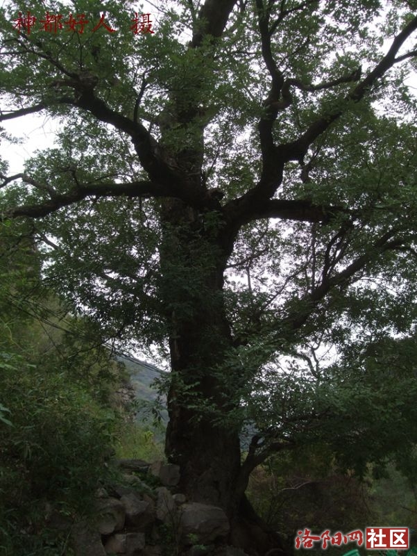 DSCF4113.JPG