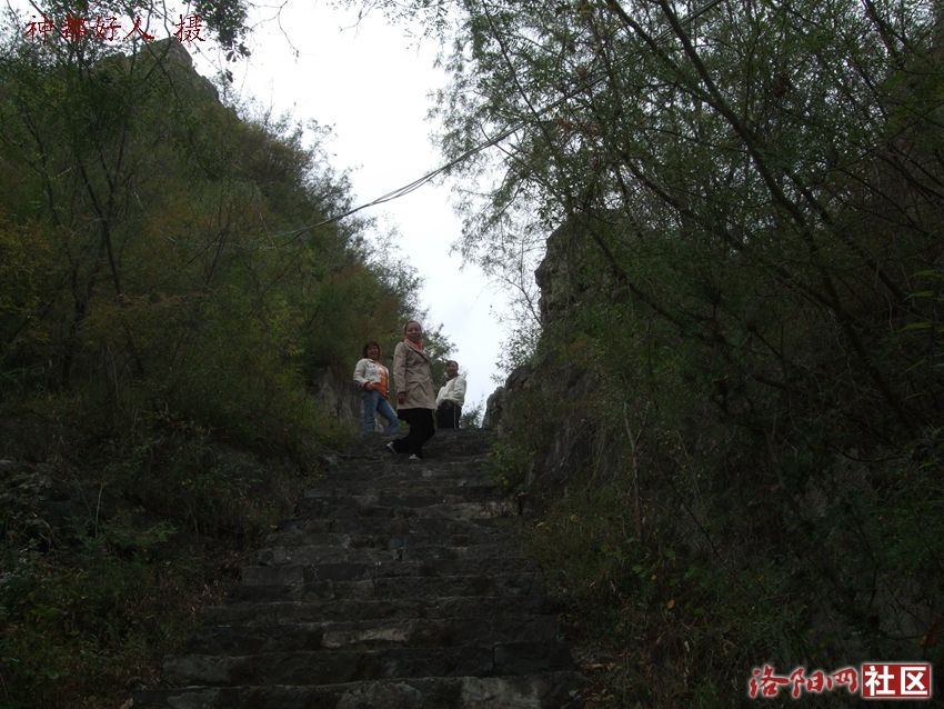 DSCF4128.JPG