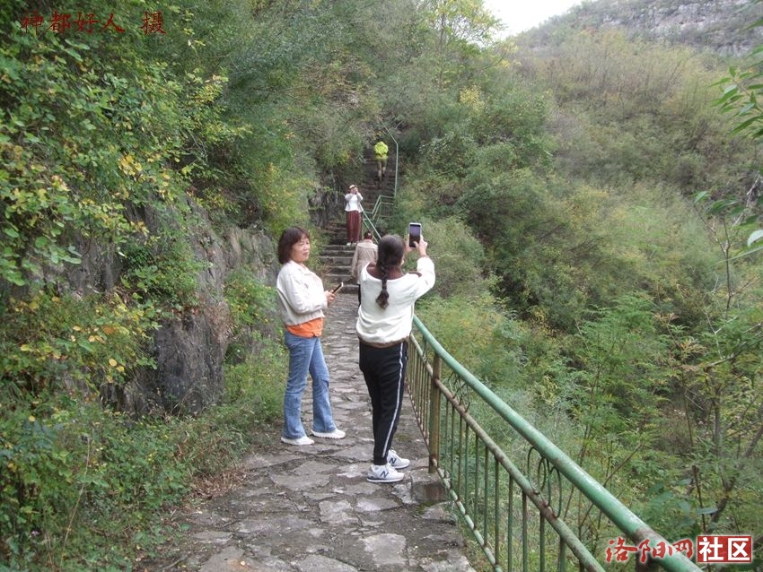 DSCF4130.JPG