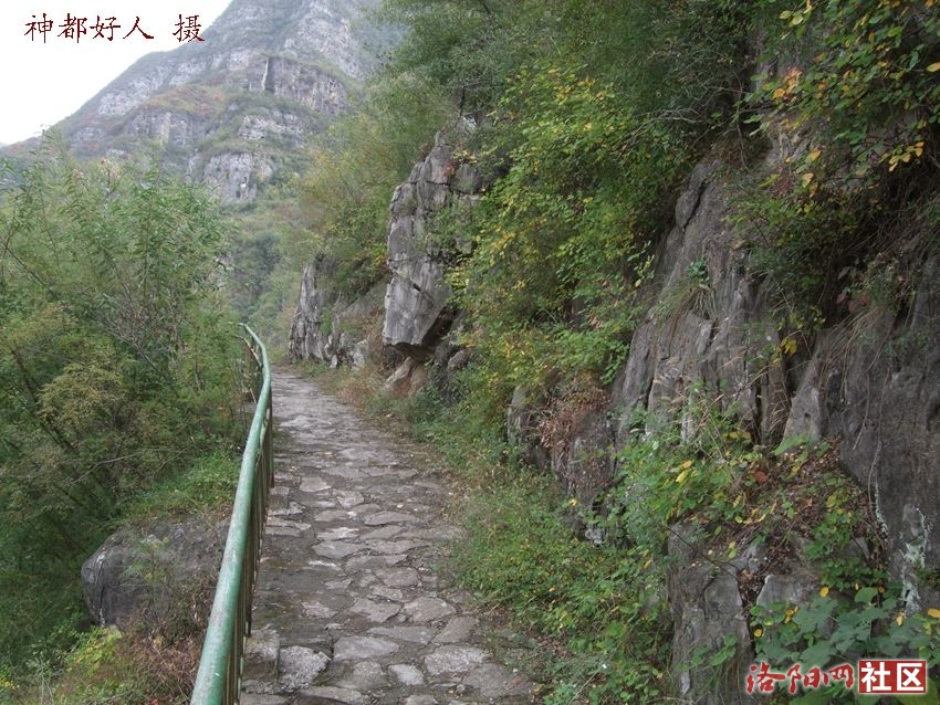 DSCF4134.JPG