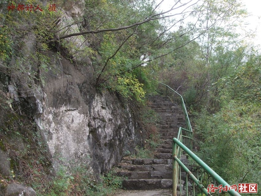 DSCF4135.JPG