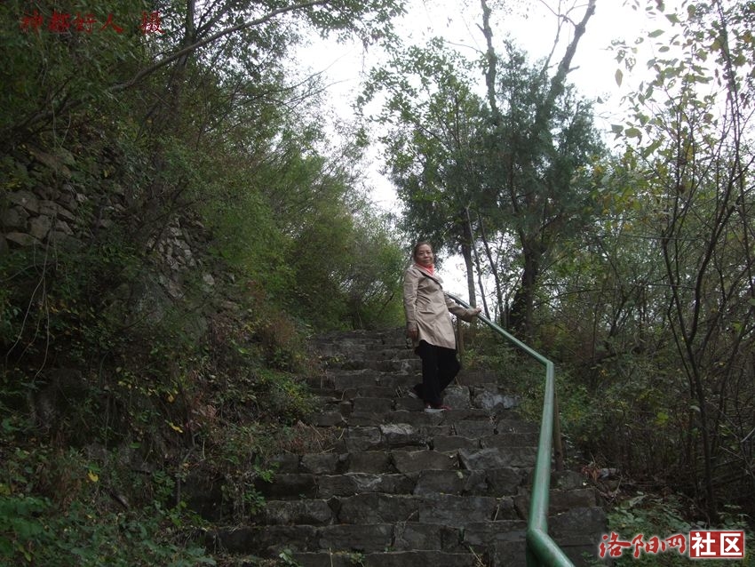 DSCF4136.JPG