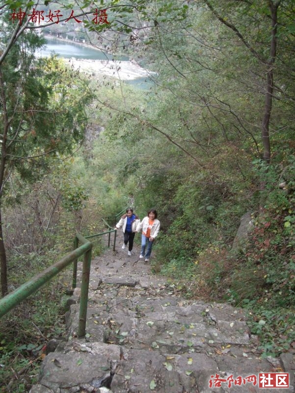 DSCF4137.JPG