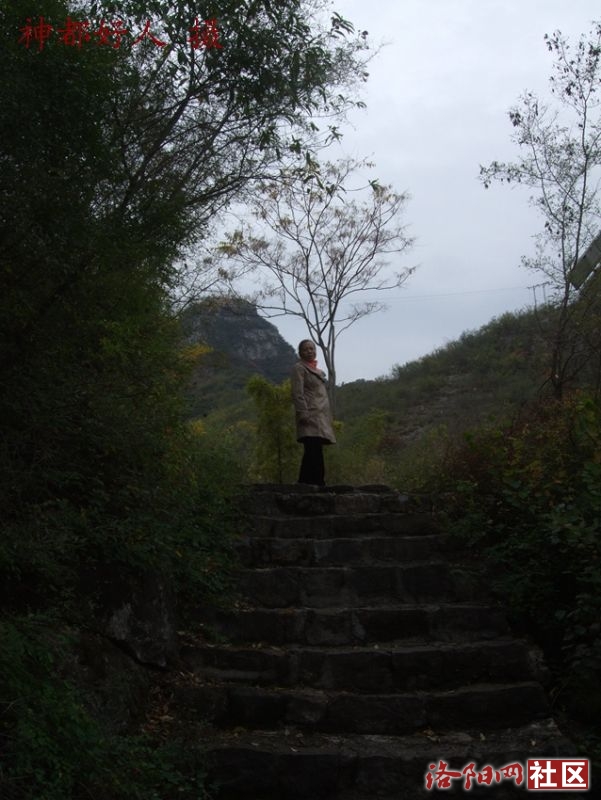 DSCF4138.JPG