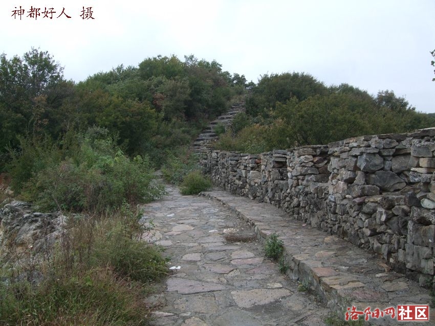 DSCF4006.JPG