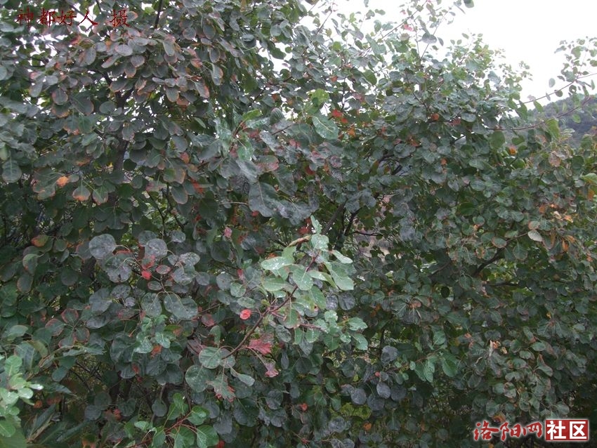 DSCF4029.JPG