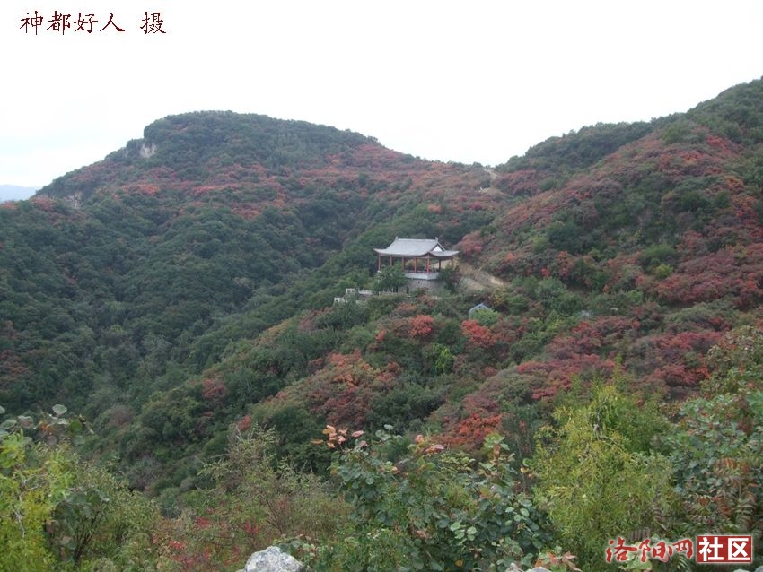 DSCF4031.JPG