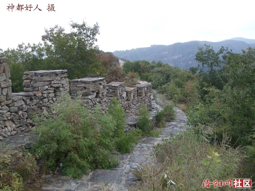 DSCF4032.JPG