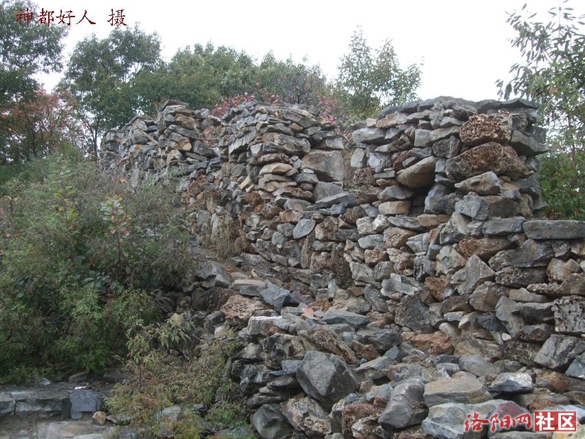 DSCF4046.JPG